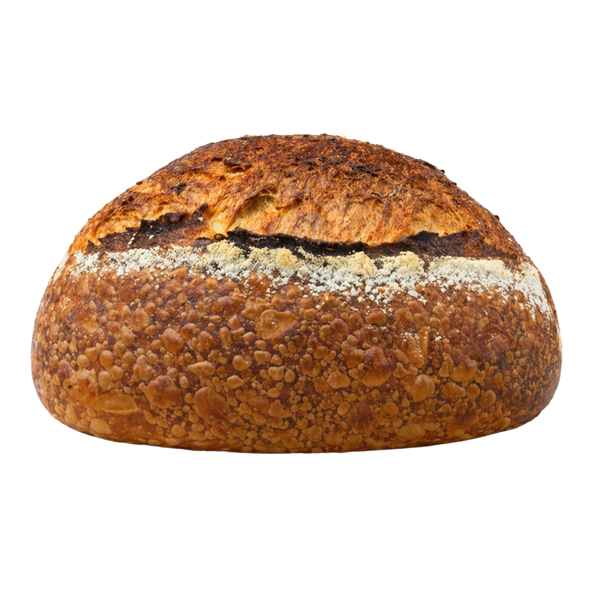 Pane senatore cappelli